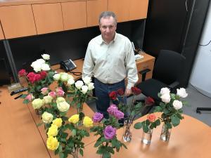 New Rose Varieties from DeRuiter for 2019